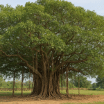 рдмрд░рдЧрдж рдХрд╛ рдкреЗрдбрд╝ : рднрд╛рд░рддреАрдп рд╕рдВрд╕реНрдХреГрддрд┐ рдФрд░ рдкреНрд░рдХреГрддрд┐ рдХрд╛ рдЕрджреНрднреБрдд рдкреНрд░рддреАрдХ